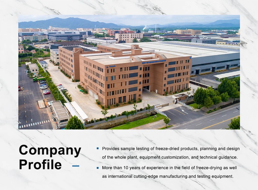 1 company profile 1 company profile